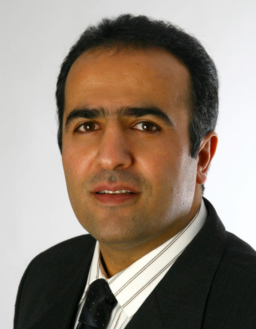 Malek Mansour Sepahyar